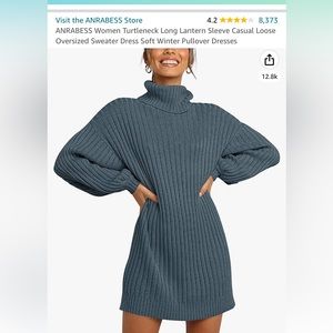 Turtle neck sweater dress